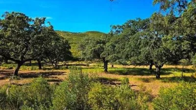 Rustic farmhouse in Zufre photo 35
