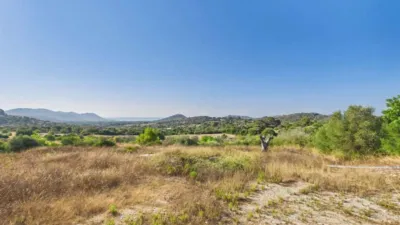 Rustic property in Son Servera photo 13