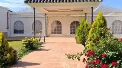 Chalet in Villarrobledo photo 88