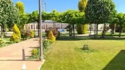 Chalet in Villarrobledo photo 17