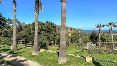 Rustic house in Capdepera photo 32