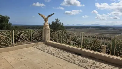 Rustic villa in Santa Margalida photo 21