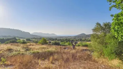 Rustic property in Son Servera photo 7