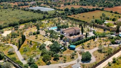 Rustic house in Felanitx photo 72
