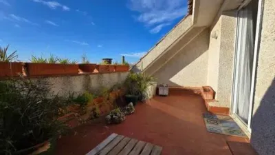 Apartment in Sant Just Desvern photo 41