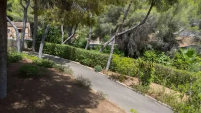Chalet in Calvià photo 35
