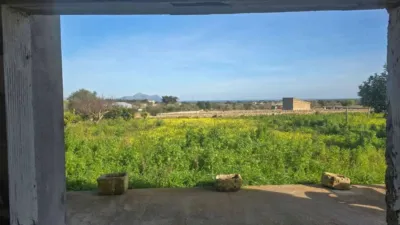 Rustic house in Santa Margalida photo 30