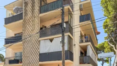 Apartment in Son Servera photo 14