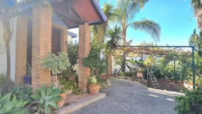 Rustic House in La Mairena photo 4