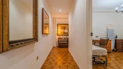 Duplex in Guardamar del Segura photo 39
