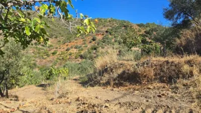 Rustic House in La Mairena photo 78
