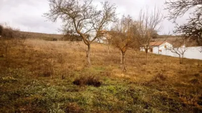 Chalet in Burgos City photo 26