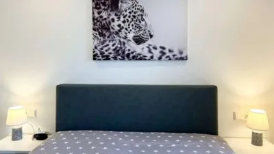 Apartment in Port Verd photo 24