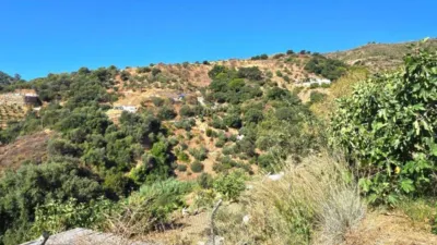 Rustic House in La Mairena photo 76