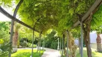 Chalet in Villarrobledo photo 70