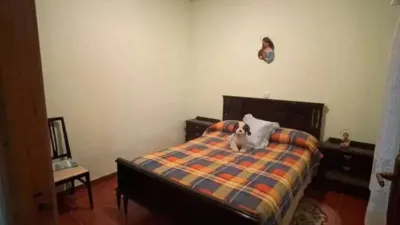 Miniatura 10