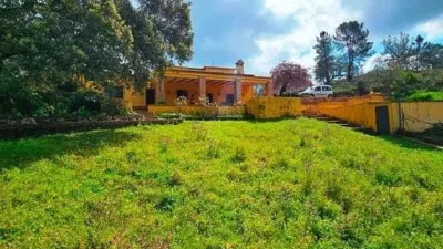 Rustic house in Cortegana photo 5