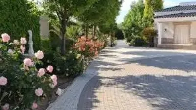 Chalet in Villarrobledo photo 44
