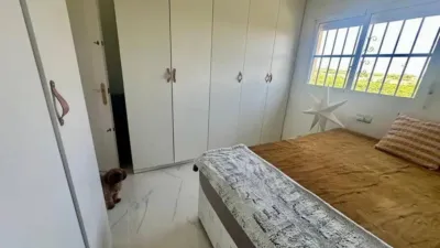Chalet en Algorfa photo 18