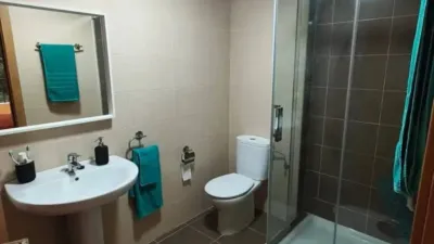 Apartment in Valle de Mena photo 21