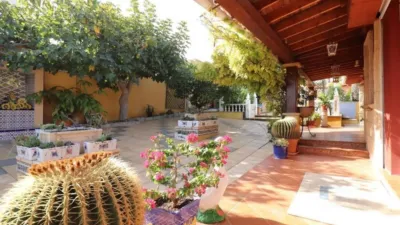 Chalet en Algorfa photo 33
