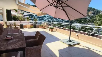 Apartment in Pedreguer photo 14