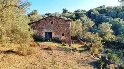 Rustic house in La Nava photo 6