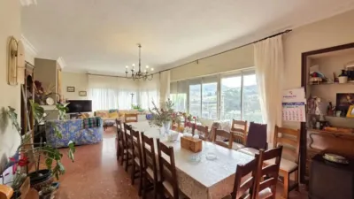 Chalet in Elda photo 13