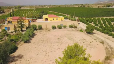 Rustic house in Albatera photo 41