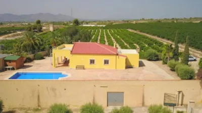 Rustic house in Albatera photo 42