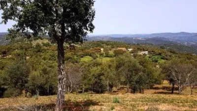 Rustic house in La Nava photo 10