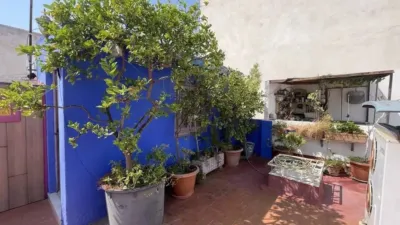 Chalet in Formentera del Segura photo 24