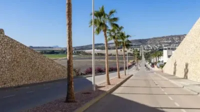 Chalet in Algorfa photo 26