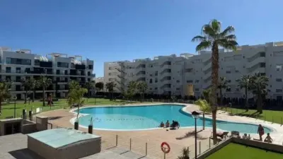 Pis - Vista 2