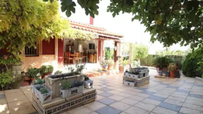 Chalet en Algorfa photo 47