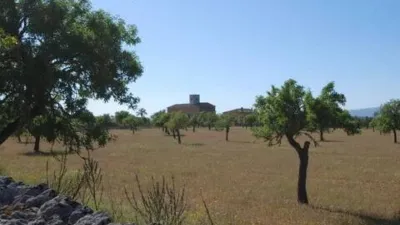 Rustic house in Algaida photo 38
