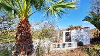 Rustic property in El Campillo photo 26