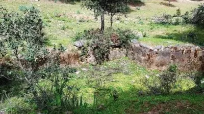 Rustic house in La Nava photo 52