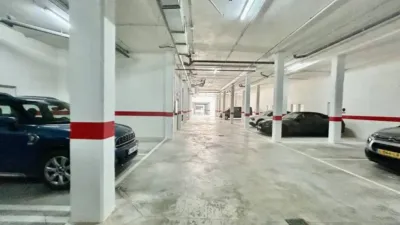 Apartment in Algorfa photo 44