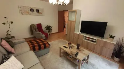 Apartment in Valle de Mena photo 2
