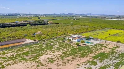 Chalet in Los Montesinos photo 39