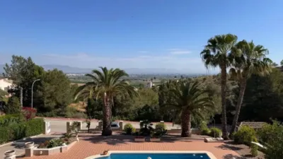 Chalet in Algorfa photo 2