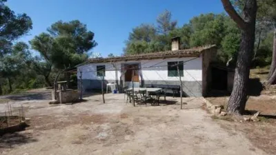 Rustic house in Algaida photo 36