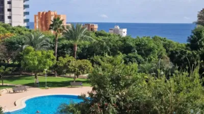 Apartment in Benidorm photo 9