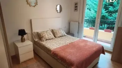 Apartment in Valle de Mena photo 10