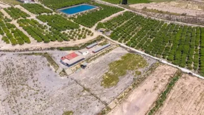 Rustic house in Almoradí photo 42