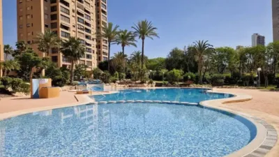 Apartment in Benidorm photo 4