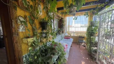 Chalet in Formentera del Segura photo 16