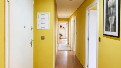 Apartment in San Nicolás photo 7