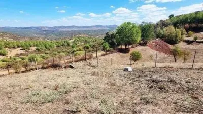 Rustic property in El Campillo photo 40